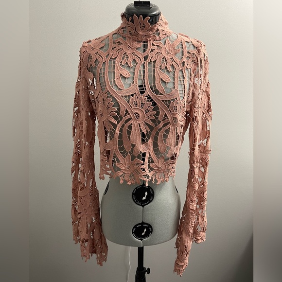 Banjul Tops - 🌹NWT AKIRA BANJUL Turtleneck Mauve Lace Crop Top, Large